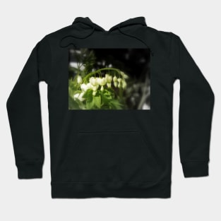 white bleeding hearts #2 Hoodie